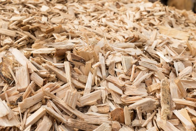 BIOMASS ENERGY